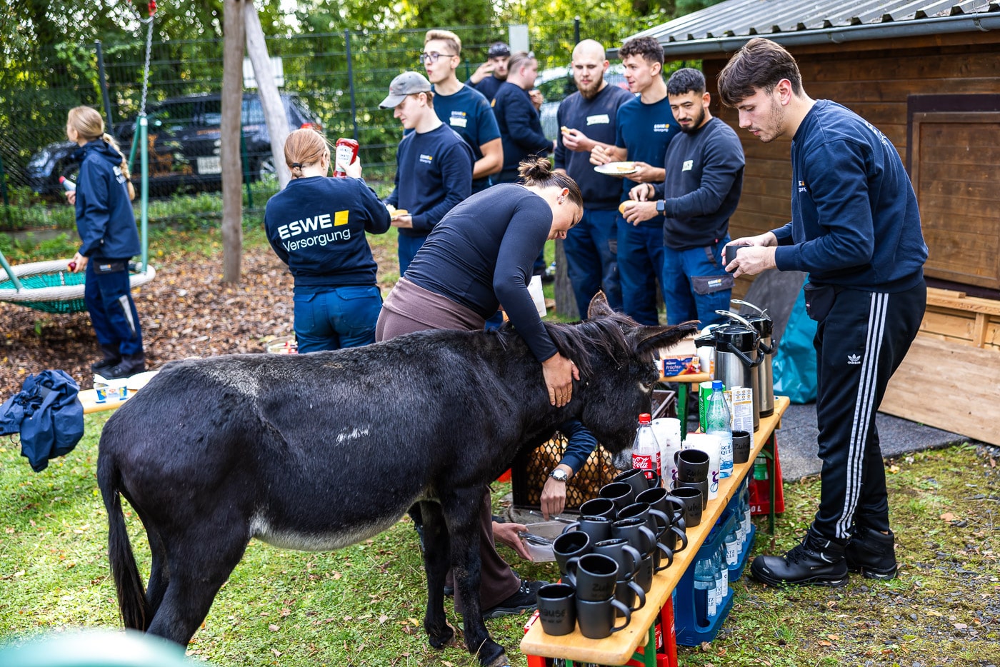 Känguru Jugend P 2025 561 20250916 pk 4046 lr Känguru Jugend P 2025 561 20250916 pk 4046 lr