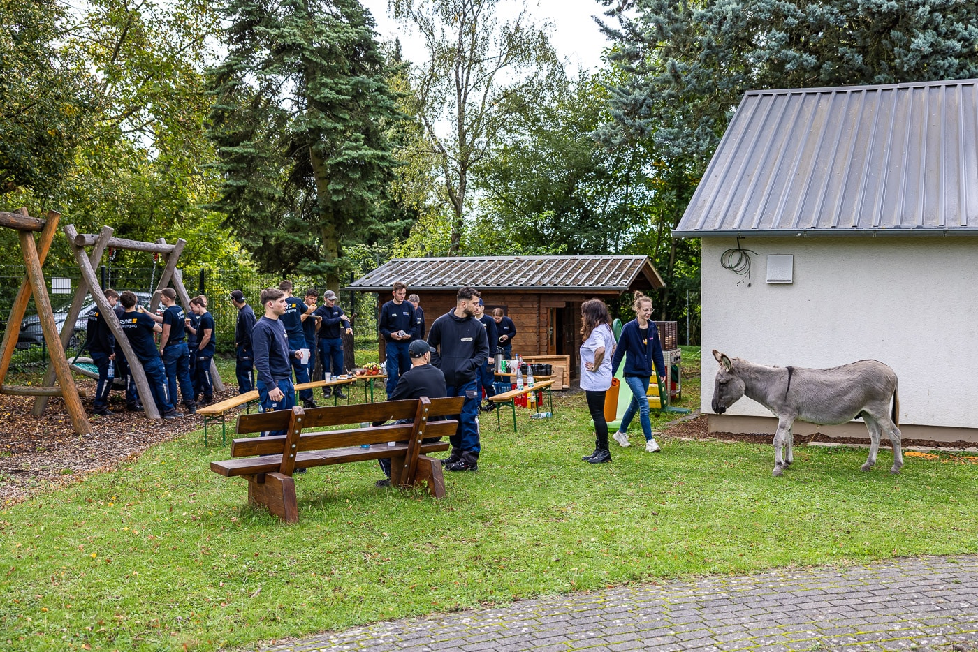 Känguru Jugend P 2025 561 20250916 pk 4051 lr Känguru Jugend P 2025 561 20250916 pk 4051 lr