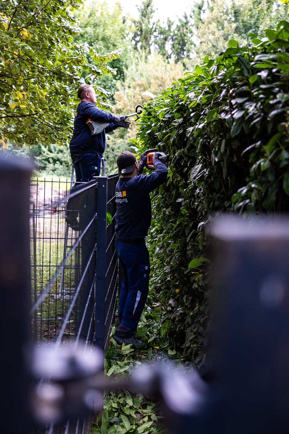 Känguru Jugend P 2025 561 20250916 pk 4220 lr Känguru Jugend P 2025 561 20250916 pk 4220 lr