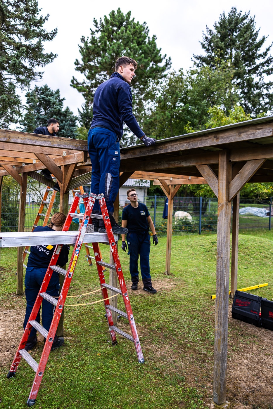 Känguru Jugend P 2025 561 20250916 pk 4295 lr Känguru Jugend P 2025 561 20250916 pk 4295 lr