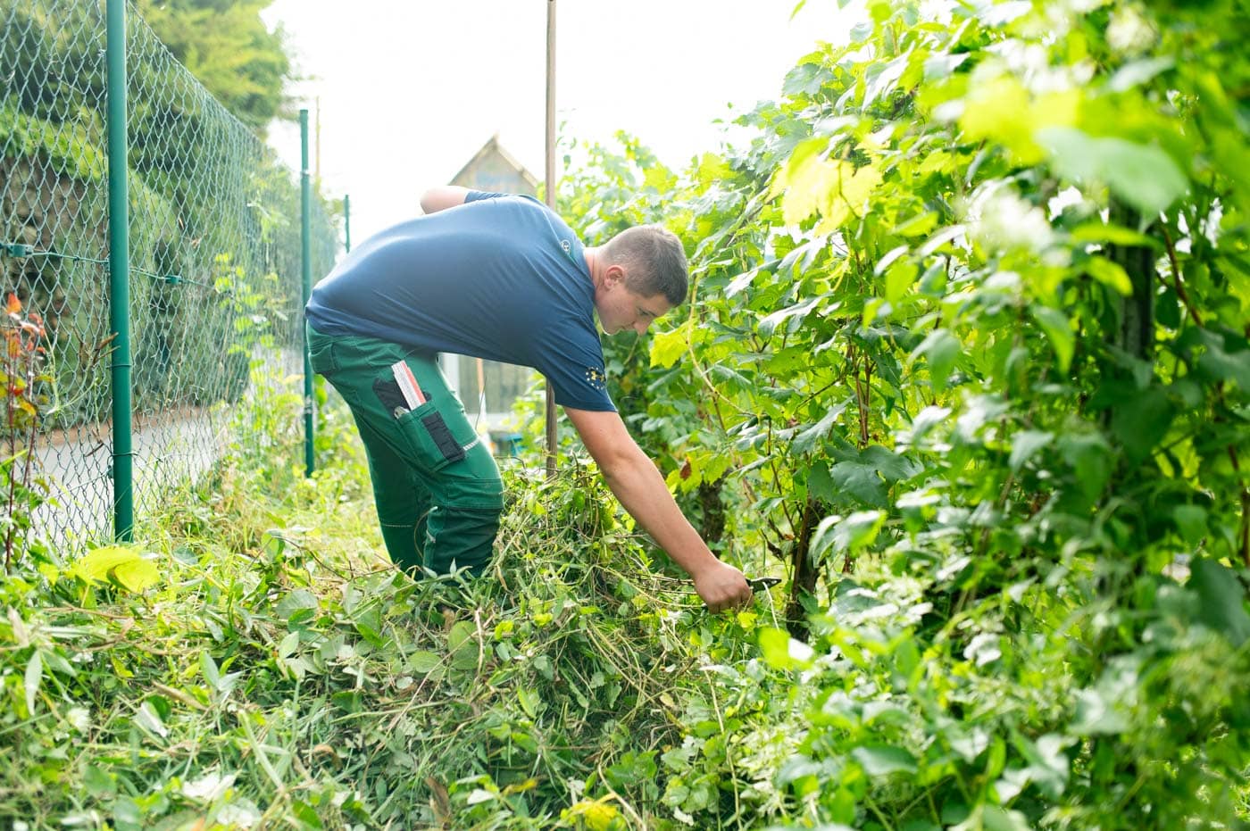 P 2025 765 wea 2025 Biberbau Biebrich 20250916 ETYP Z6D 2576 LR P 2025 765 wea 2025 Biberbau Biebrich 20250916 ETYP Z6D 2576 LR