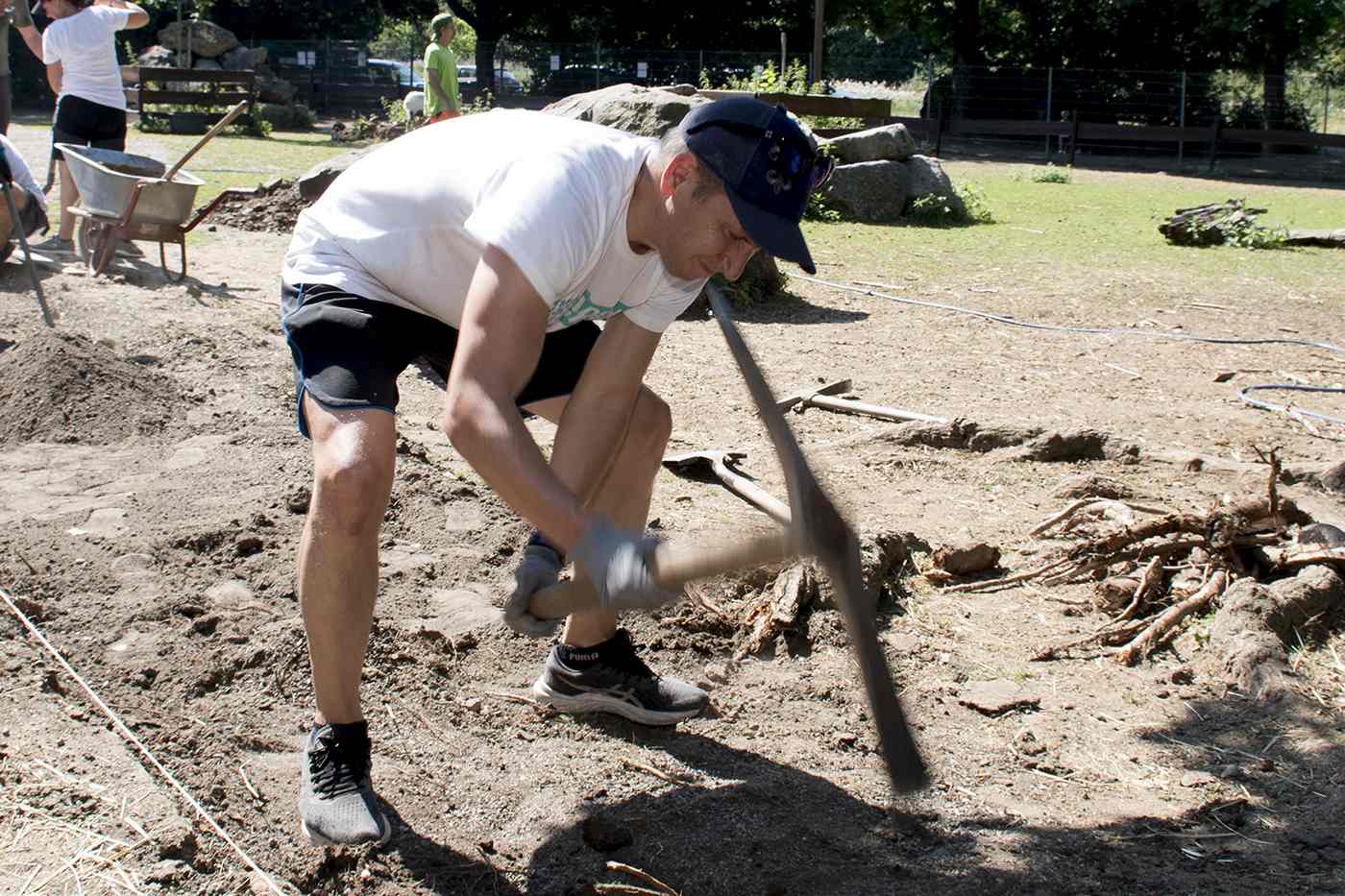 WEA 2025 Tierpark Kastel Soka Bau P 2025 699 20260702 os lr 06 WEA 2025 Tierpark Kastel Soka Bau P 2025 699 20260702 os lr 06