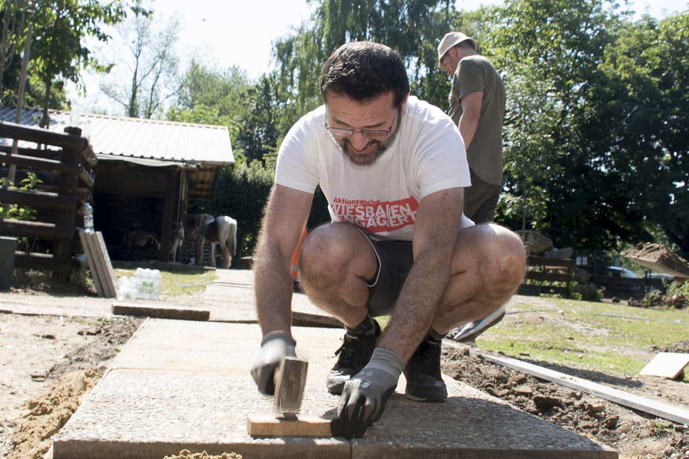 WEA 2025 Tierpark Kastel Soka Bau P 2025 699 20260702 os lr 09 WEA 2025 Tierpark Kastel Soka Bau P 2025 699 20260702 os lr 09